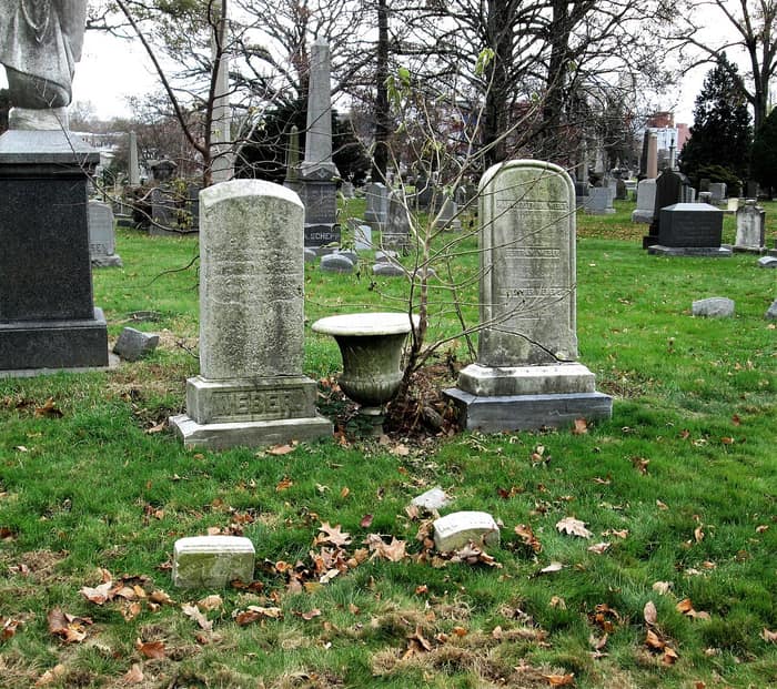 An Amanita spreta mushroom photographed at Green-Wood Cemetery