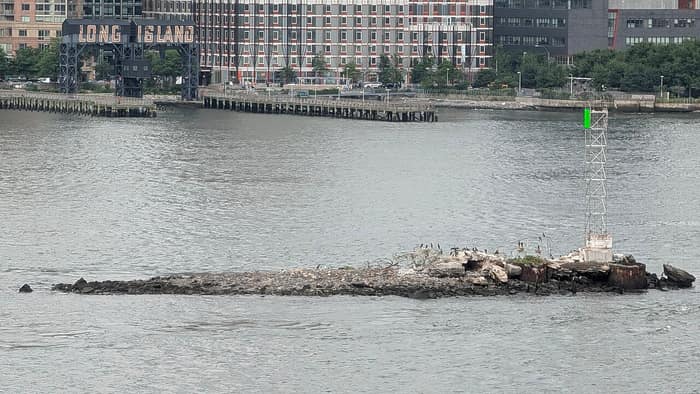La isla Belmont en el East River en junio de 2026