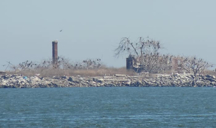 La isla Swinburne vista al otro lado del agua desde Seaview Pier